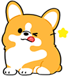 :corgi_wink: